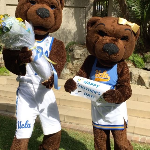 加州大学洛杉矶分校对比ucl,ucla加州大学洛杉矶分校