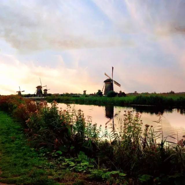 你追着风跑，我手握风车inHolland