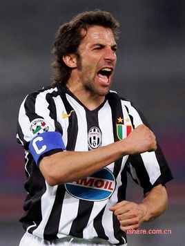 力与美的完美展现,力与美的完美融合视频