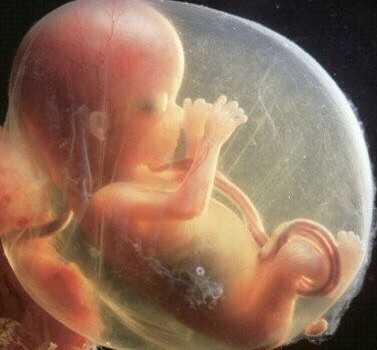 准妈妈怀孕早期的孕程须知