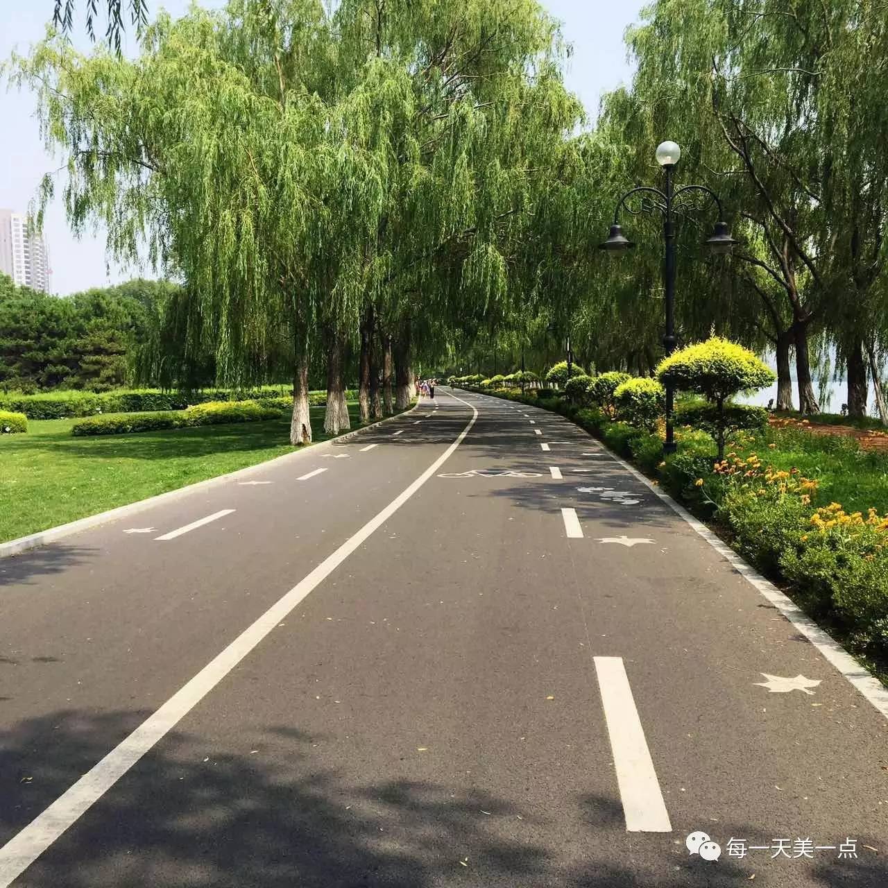 沈阳浑河边骑行夜景,浑河漫步道自行车