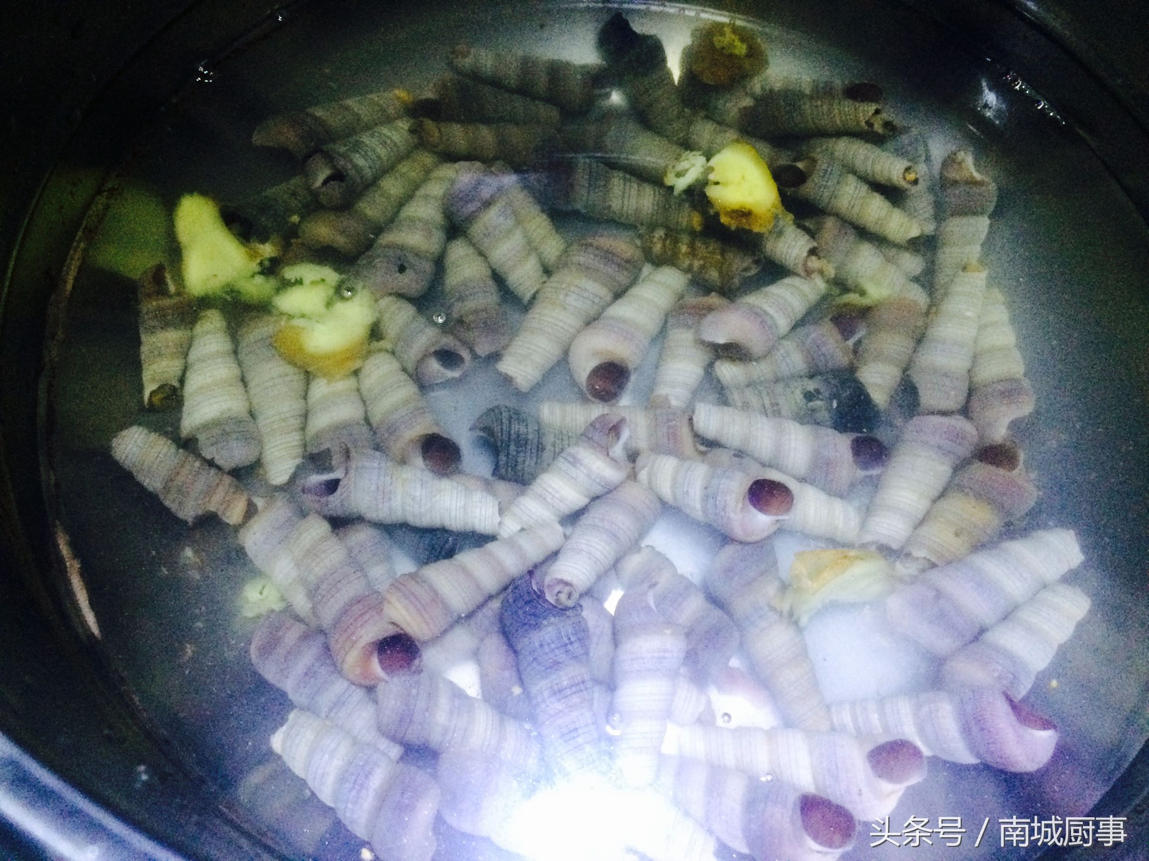 炒钉螺的做法大全家常,辣炒钉螺的最正宗做法大全