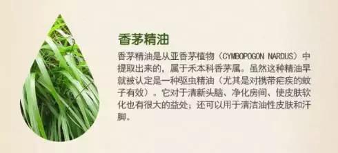 驱蚊贴婴儿专用日本叮叮,日本贝亲驱蚊贴