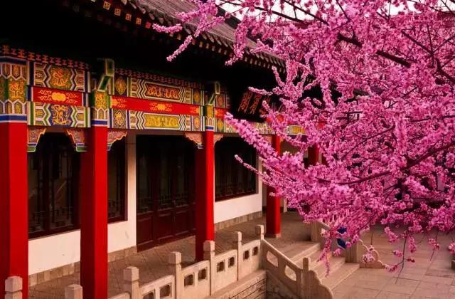 天津超好玩的几大地方,天津景点门票价格一览表最新