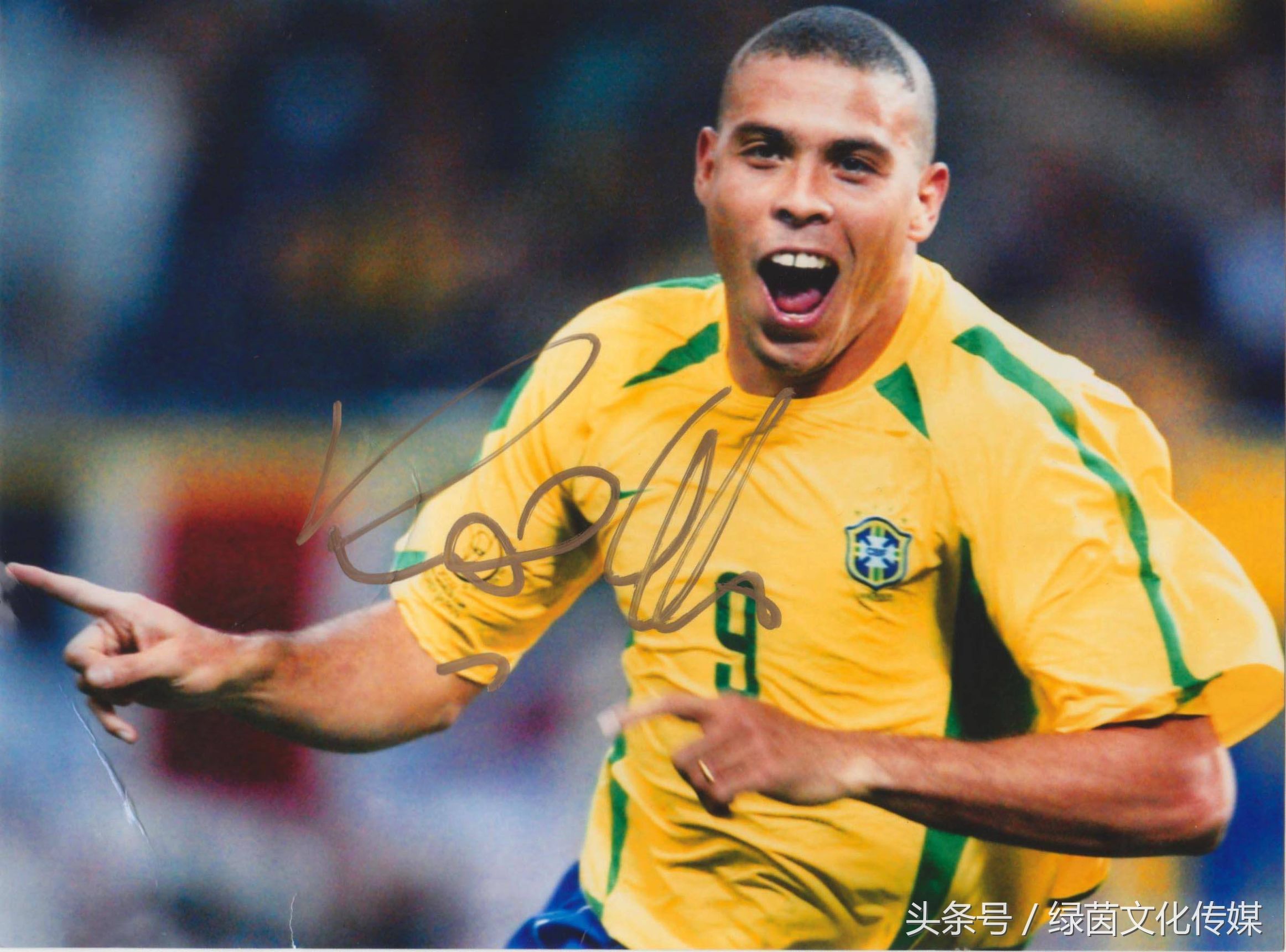 大罗年轻与老去,大罗top10