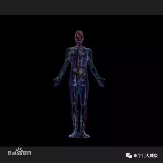 奇经八脉理论完整版,奇经八脉详解视频