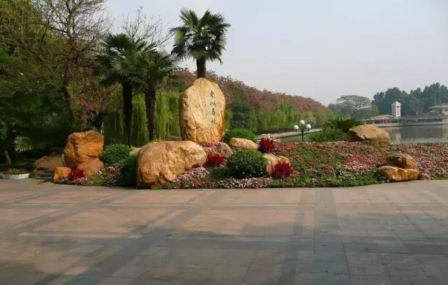 还坐什么地铁？坐上这趟最美公交，我宁愿堵成狗！