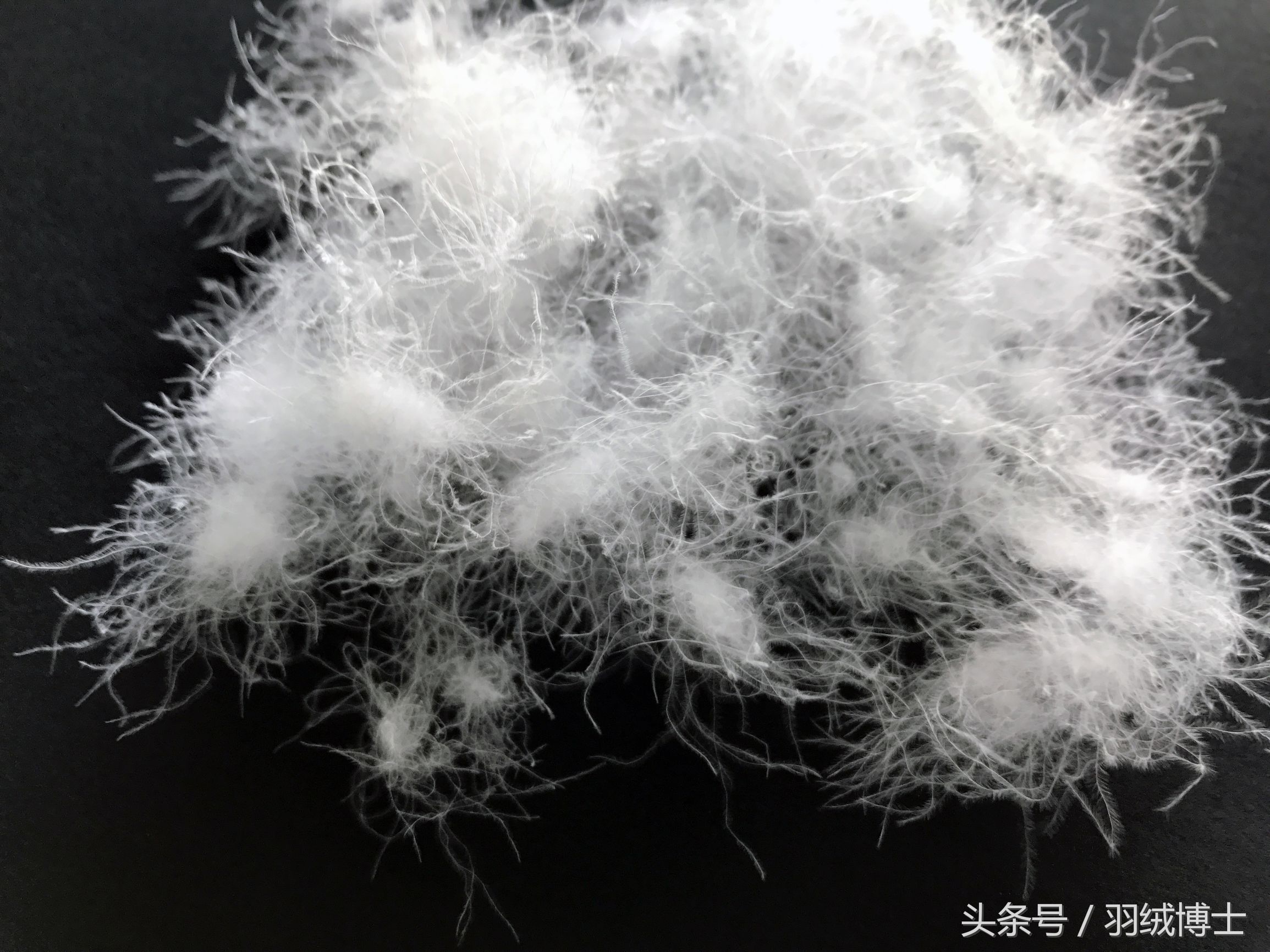 生产假冒伪劣羽绒服,羽绒服假冒伪劣产品