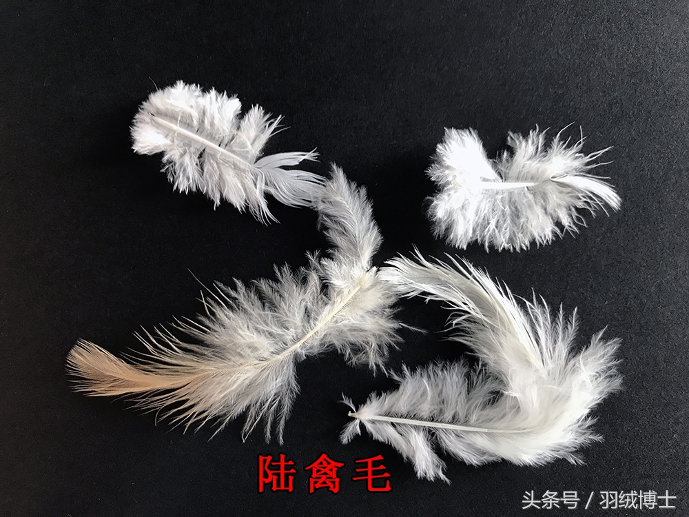 生产假冒伪劣羽绒服,羽绒服假冒伪劣产品