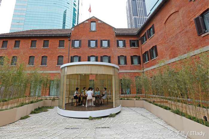 马云爸爸100000块的“喵”牌下午茶是什么体验？