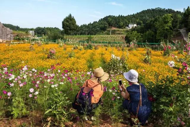 天圆地方！即日起，金堂不再是金堂，这个“新名字”惊艳全世界！