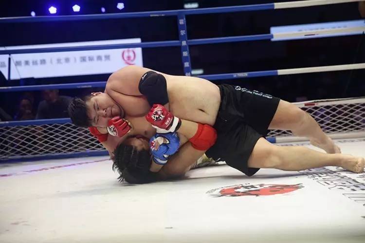 敖日格乐大战王奇,战无极搏击比赛