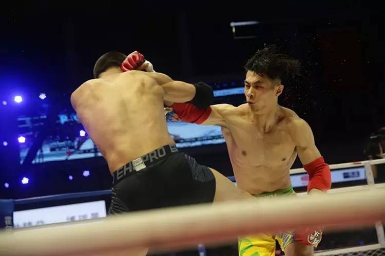 敖日格乐大战王奇,战无极搏击比赛