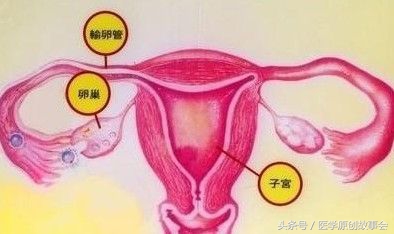 22岁谈了3个男朋友，验尿结果出来后，医生却说要立即手术！