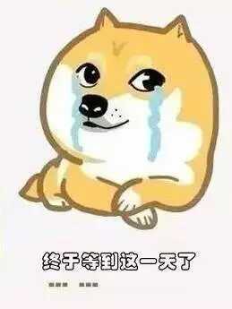 小熊叨叨叨：喜大普奔，组织要帮忙找对象啦！