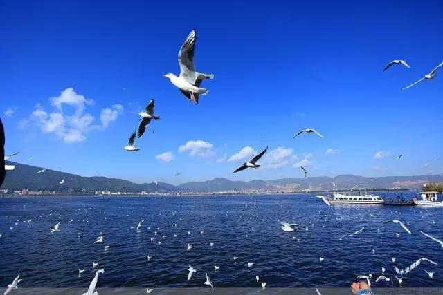 西南华邑酒店攻略,大理华邑酒店