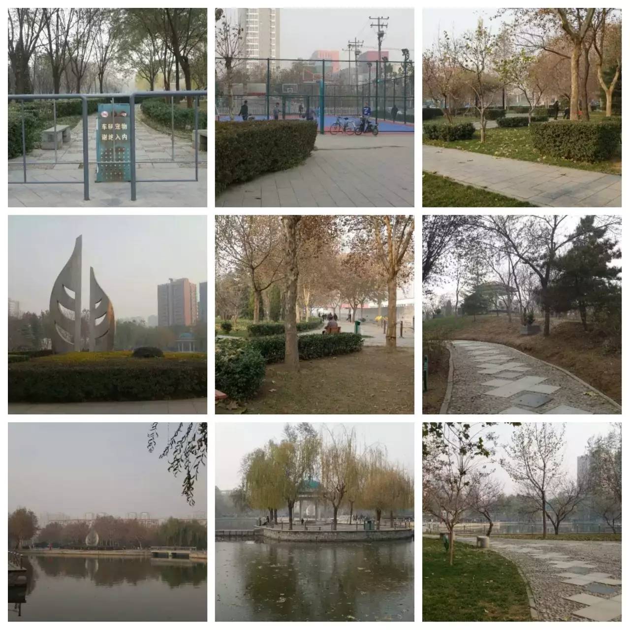 我用30万步，走遍石家庄公园