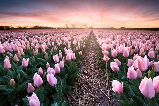 全球最适合华人居住的城市,年轻人最想去的top5城市