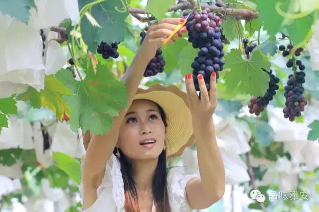 品味雅安丨大美雅西秘境汉源