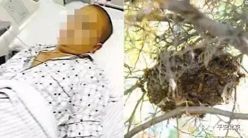 直播要遵照哪些规则,直播不能触犯的规则