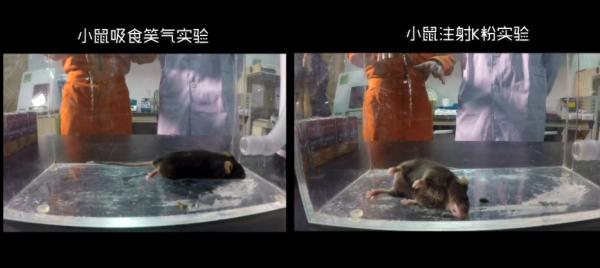 吸入笑气气体有什么危害,笑气的化学成分及其危害