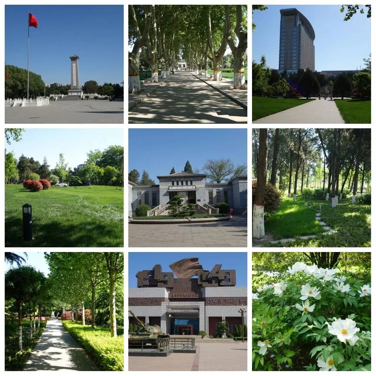 我用30万步，走遍石家庄公园