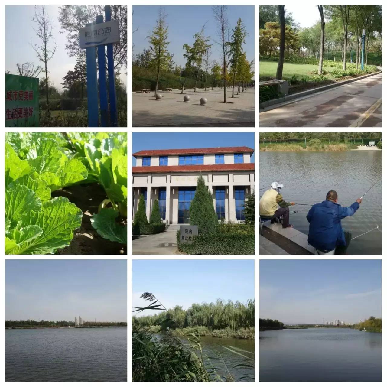 我用30万步，走遍石家庄公园