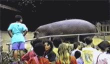 儿子等待父母回来过年,儿子还没几天就要回家探亲