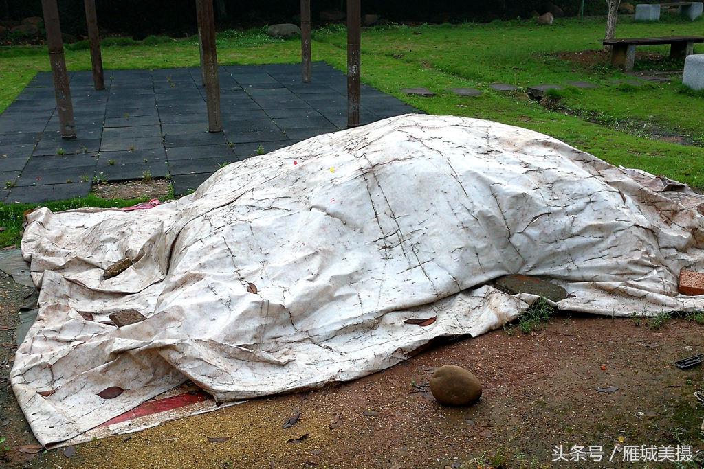 衡阳市平湖公园,衡阳平湖公园