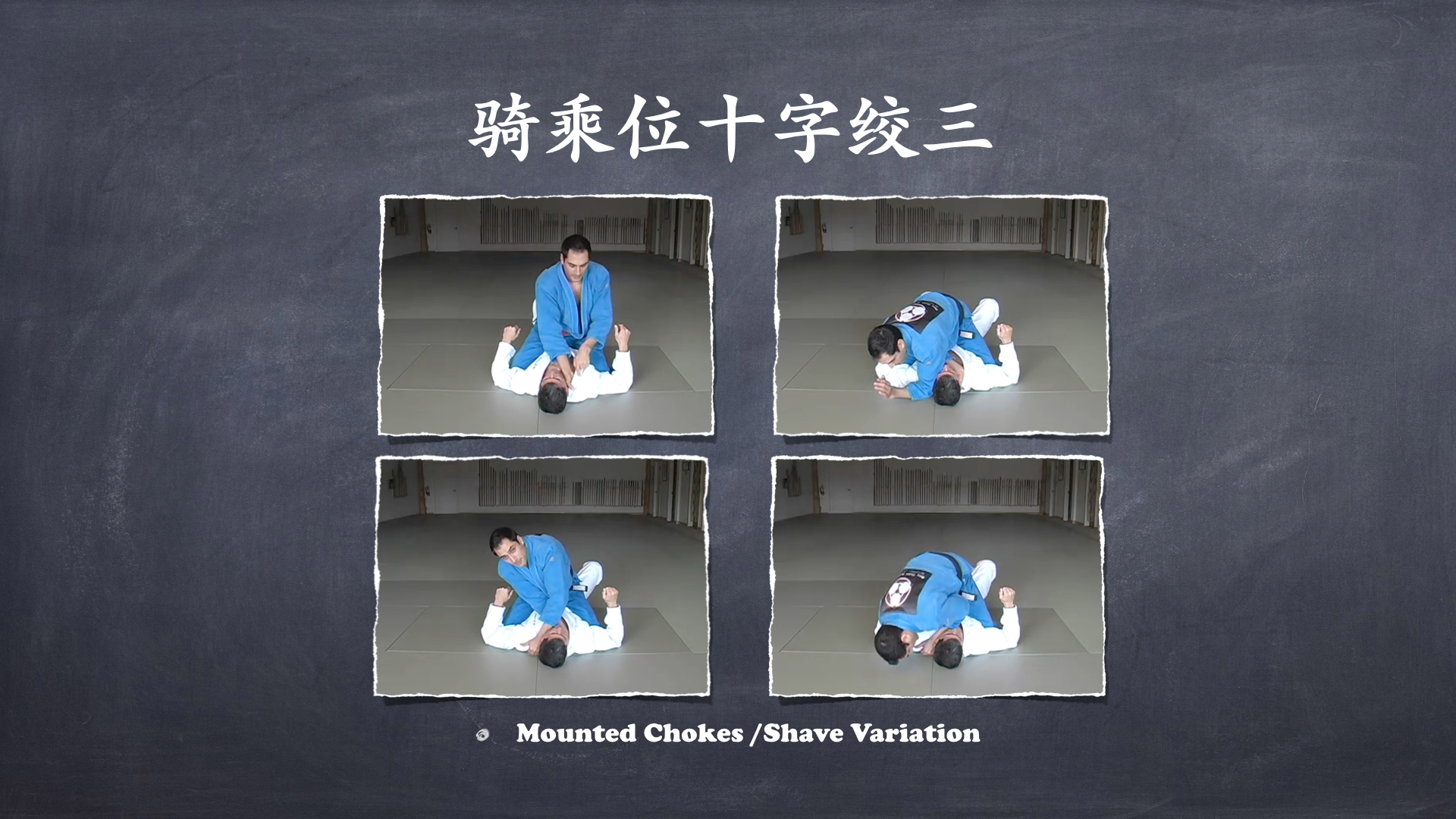 RoyDeans巴西柔术蓝带技术学习大纲