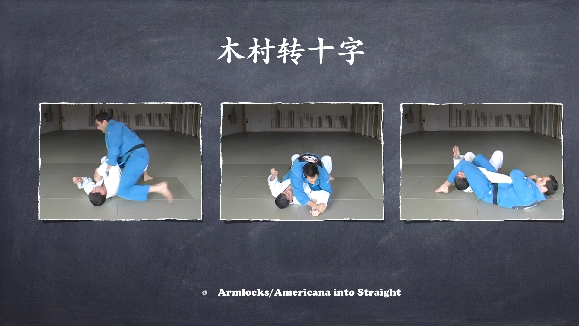 RoyDeans巴西柔术蓝带技术学习大纲