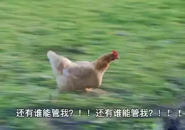 回国别高兴太早，过了三周让你回到现实