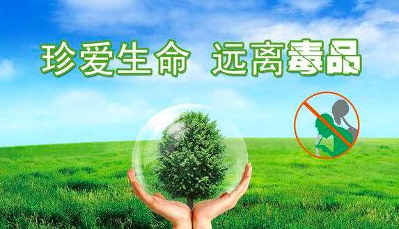 梵高莫奈达利毕加索,梵高达利和毕加索