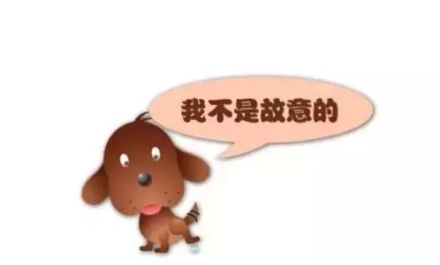 被动物咬伤了怎么办安全教案,被动物咬伤怎么办安全教育