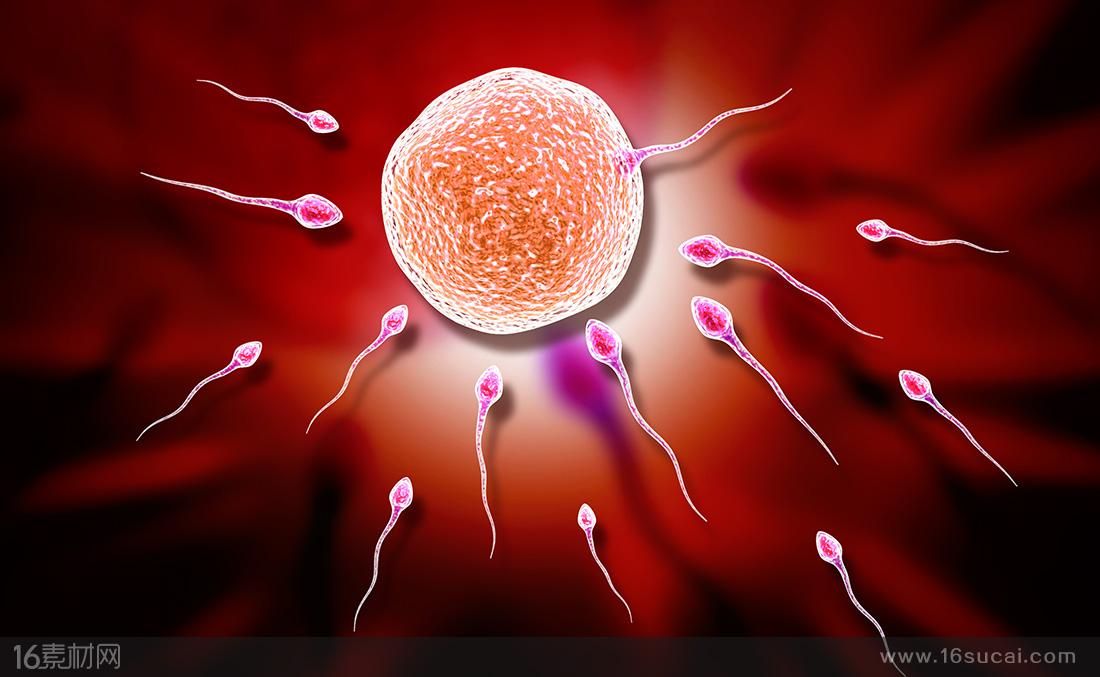 生女宝医生一般怎么说,刚刚怀孕去产科要和医生说什么