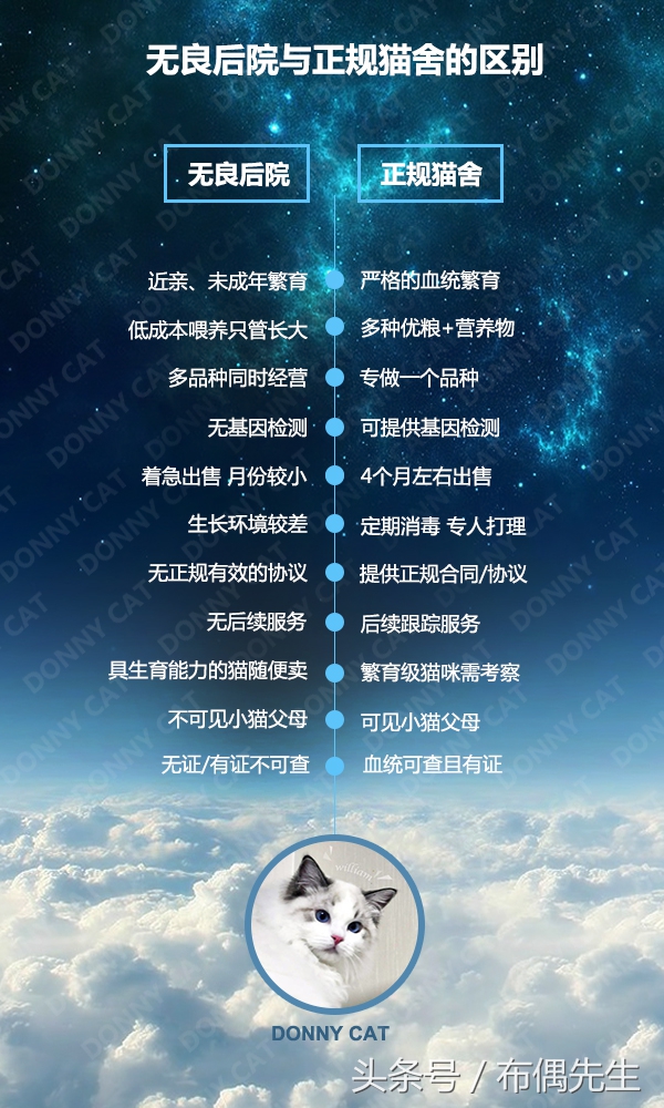 吃过亏才懂得的10个真相,吃过亏后才懂得的十大真相