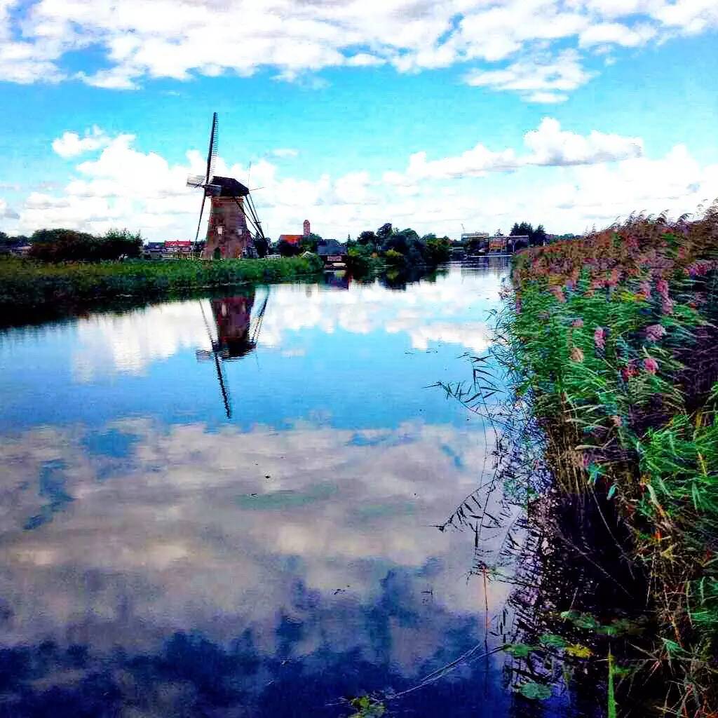 你追着风跑，我手握风车inHolland