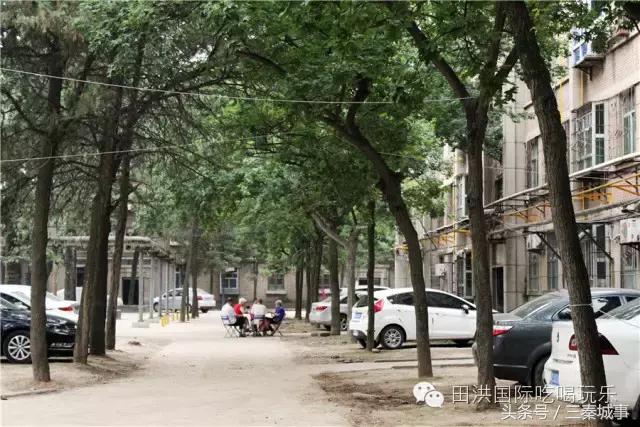 西安最好看灞桥风景,西安灞桥美丽的风景线