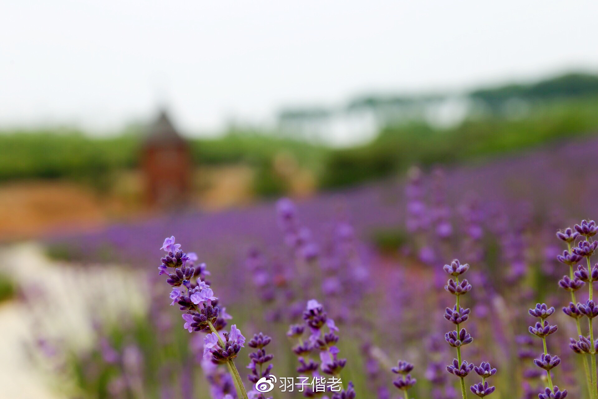 日日春农庄,日日春农业生态园