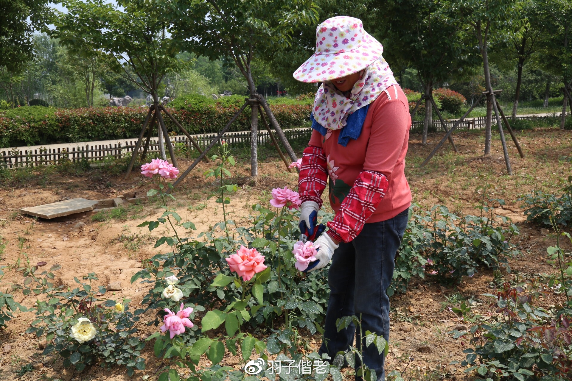 日日春农庄,日日春农业生态园