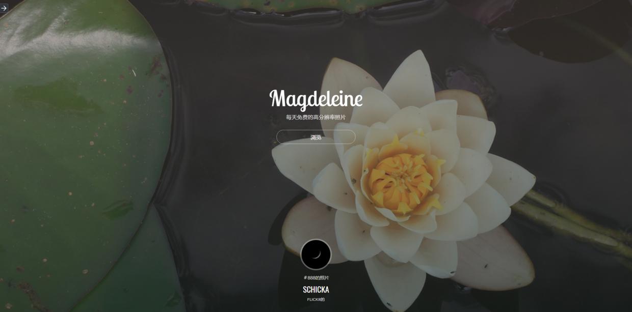 ppt素材最全最新网站,ppt里面的素材哪里找