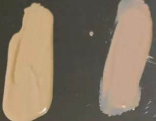 提亮肤色保湿持久的粉底,bobbibrown弹润滋养光泽粉底