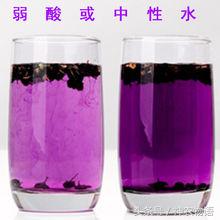 花青素之王黑枸杞图片,黑枸杞是花青素之王