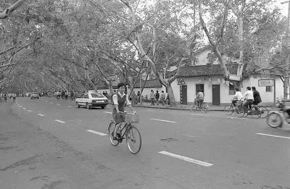 杭州为什么可以大规模拍地,杭州大规模拍地