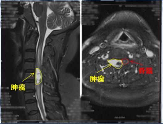 狐大医怎么样,狐大医