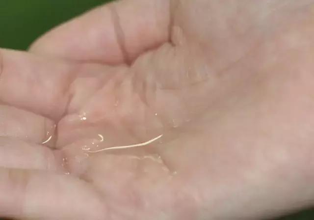 高端护肤水推荐前十名,护肤水推荐前十名直播