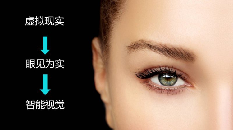 上海科技大学教授虞晶怡：给虚拟教育装上聪颖之眼