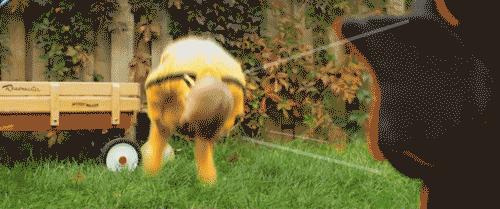 北京最贵的私立幼儿园2019,全国最贵幼儿园一年200多万