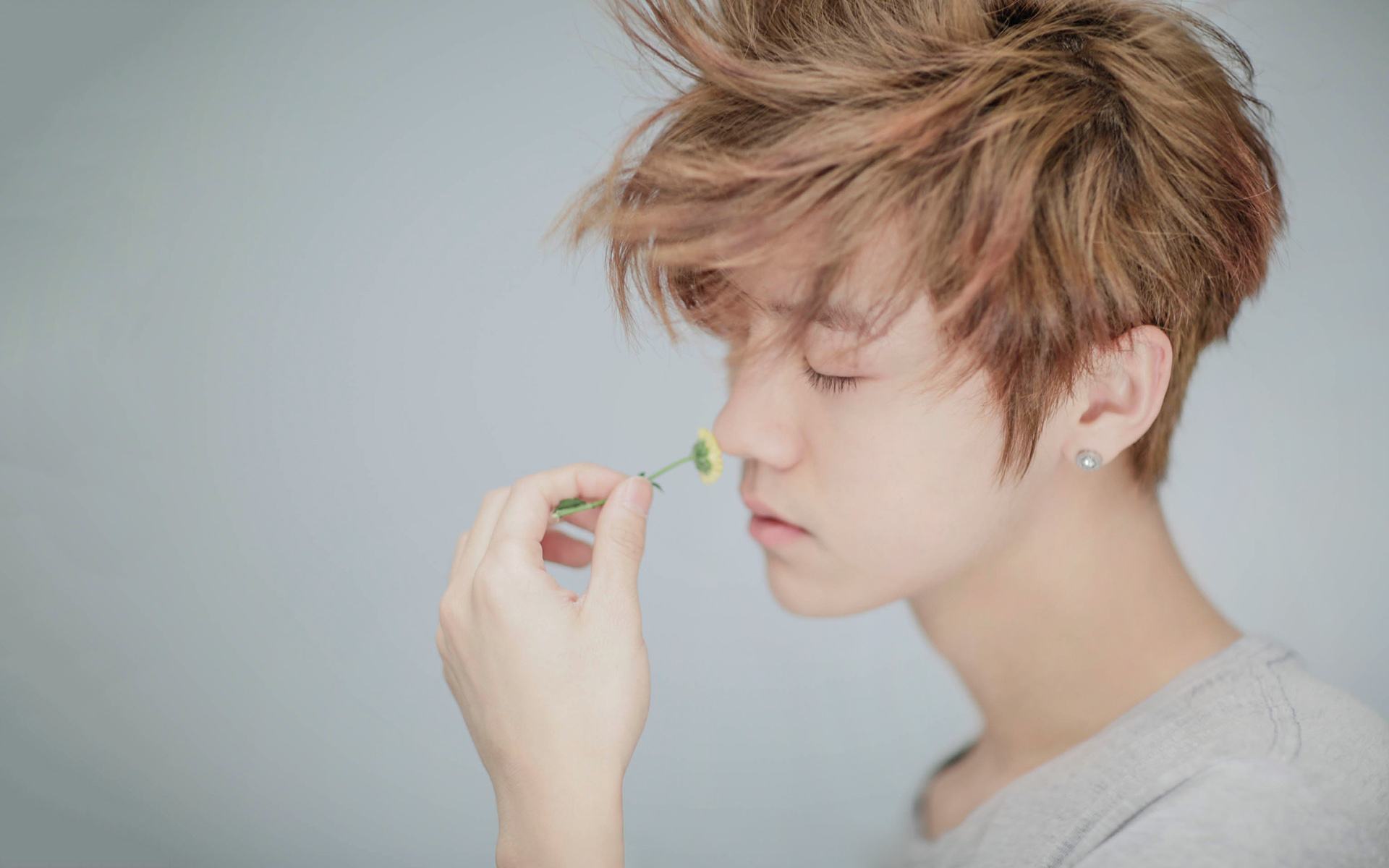 鹿晗李易峰杨洋,鹿晗李易峰照片结合