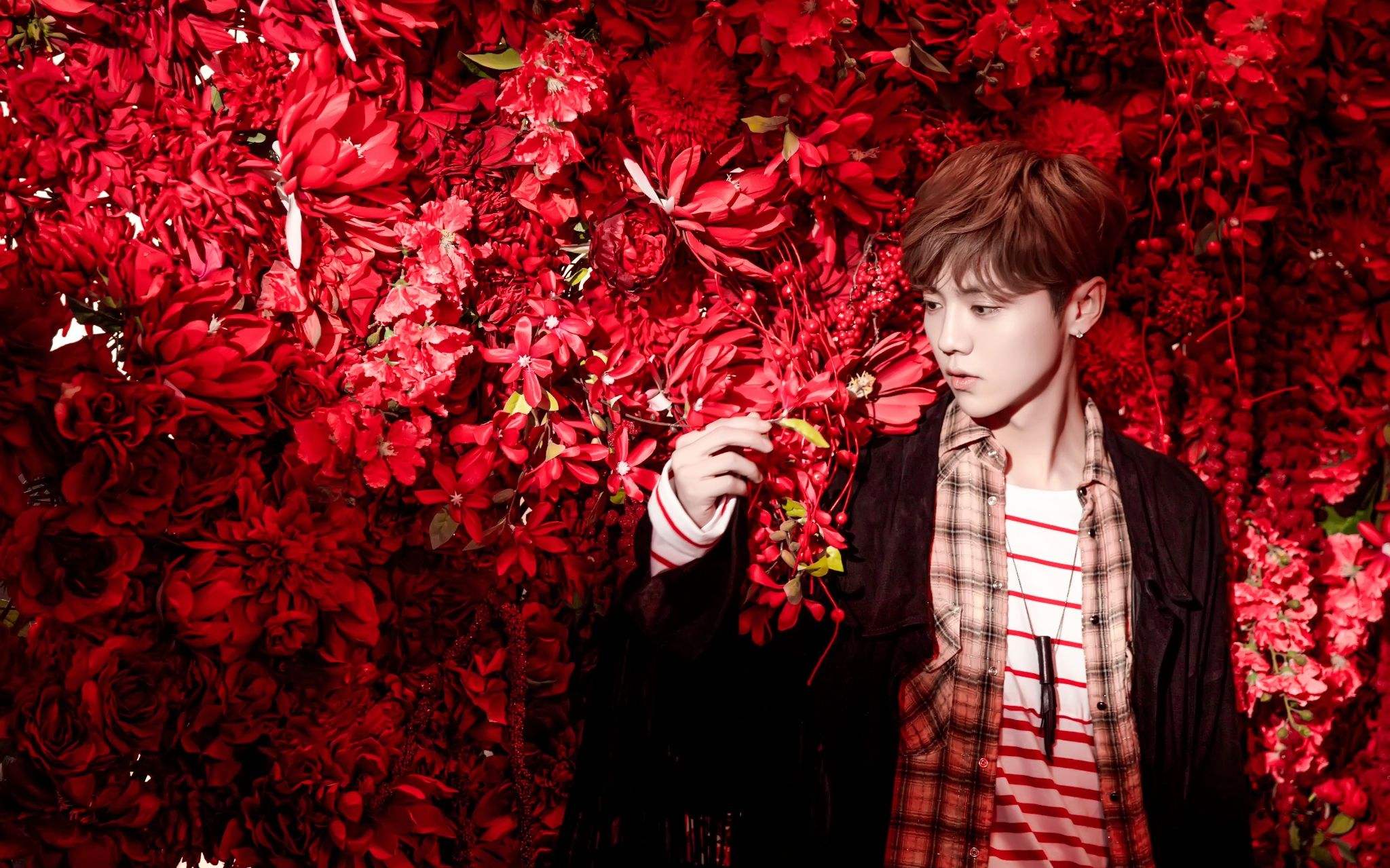 鹿晗李易峰杨洋,鹿晗李易峰照片结合